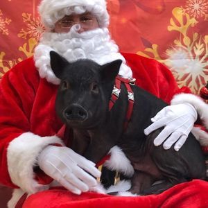 Meet your Posher, Corey